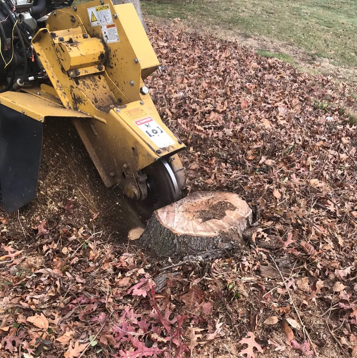 Stump Grinding Long Island NY